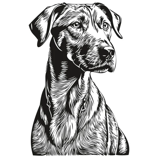 罗得西亚脊背狗手绘标志画上黑白线条的艺术宠物画图逼真的品种宠物 — 图库矢量图片