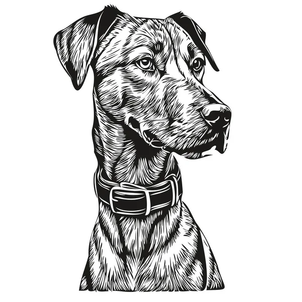 Rhodesian Ridgeback Dog Hand Drawn Logo Drawing Black White Line — Stock Vector