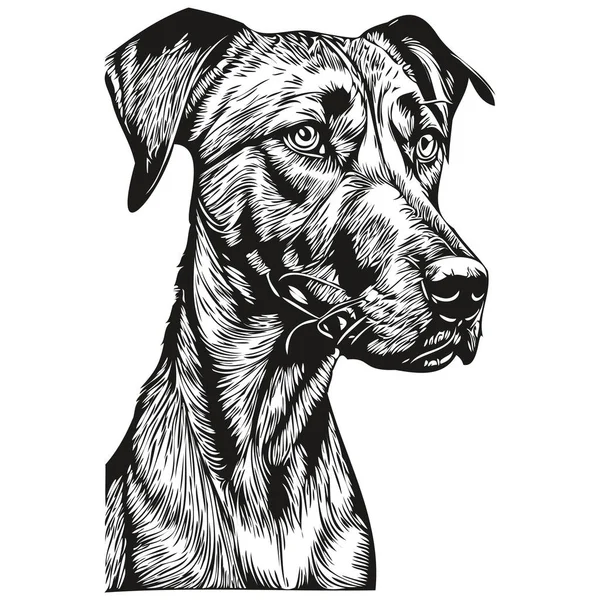 罗得西亚脊背狗铅笔手绘矢量 勾画出宠物脸标识黑白轮廓 — 图库矢量图片