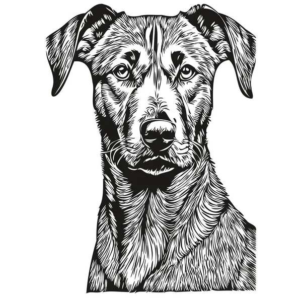 Rhodesian Ridgeback Dog Logo Vector Black White Vintage Cute Dog — Stock Vector
