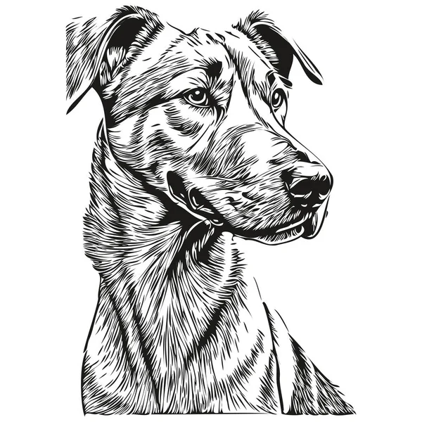Rhodesian Ridgeback Cão Realista Pet Ilustração Mão Desenho Rosto Preto —  Vetores de Stock