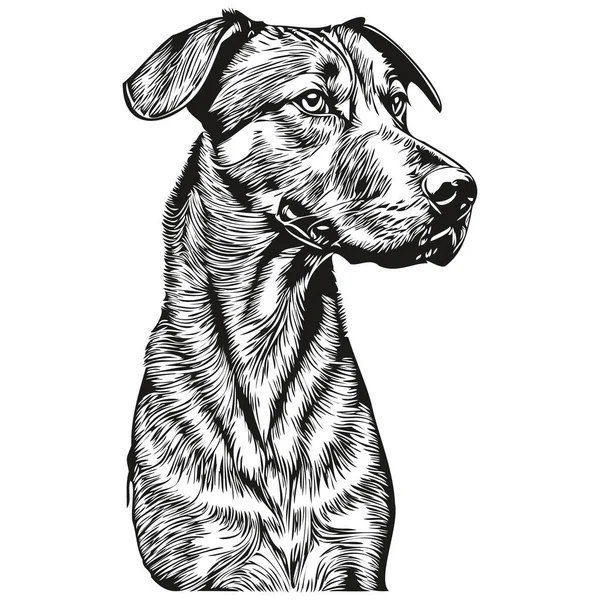 Rodezya Sırt Köpeği Shirt Siyah Beyaz Sevimli Komik Çizim Vektörü — Stok Vektör