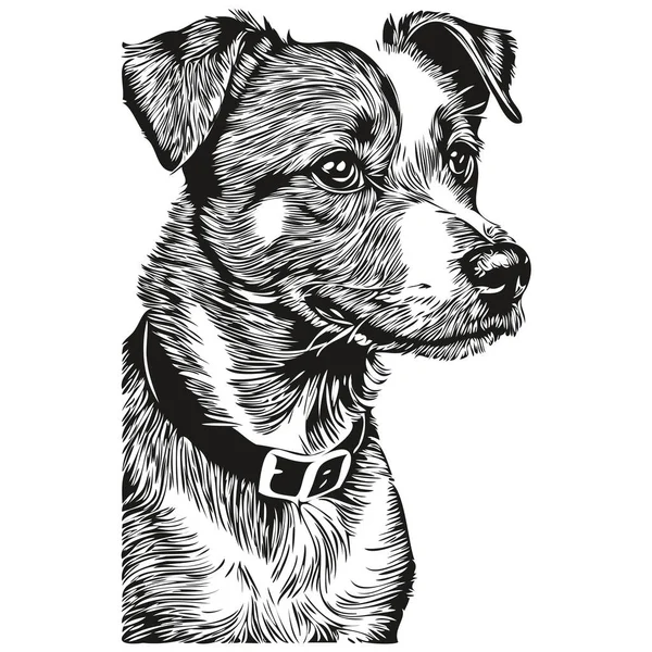 Russell Terrier Chien Race Ligne Dessin Clip Art Animal Dessin — Image vectorielle