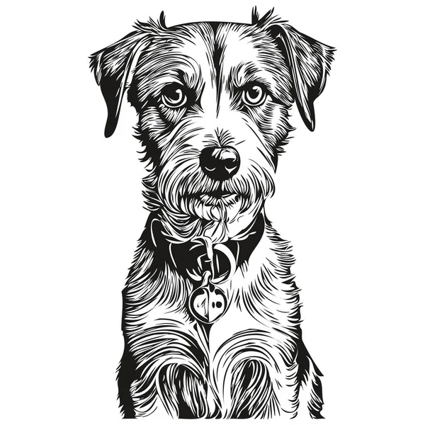 Russell Terrier Kutya Vonal Illusztráció Fekete Fehér Tinta Vázlat Arc — Stock Vector