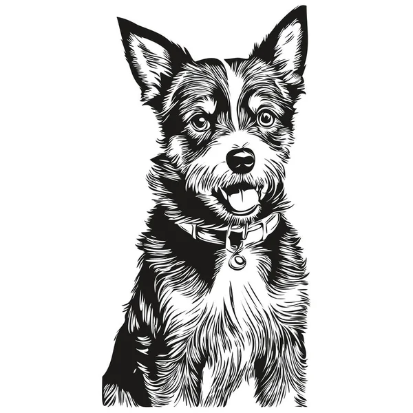 Russell Terrier köpek logosu siyah-beyaz, klasik sevimli köpek kafası oymalı gerçekçi bir evcil hayvan.