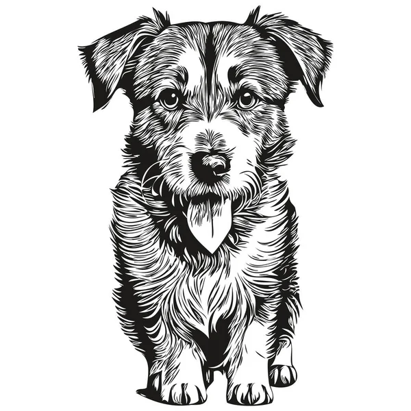 Russell Terrier Dog Sketch Illustration Black White Engraving Vector Real — 스톡 벡터