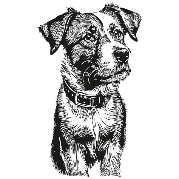 Russell Terrier Köpek Hayvan Silueti Hayvan Çizgisi Çizimi Çizimi Siyah — Stok Vektör