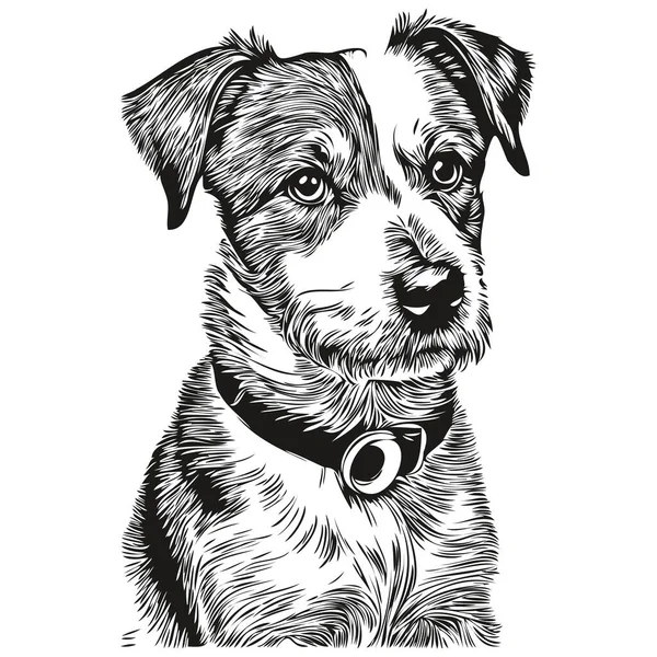 Russell Teriér Pes Realistický Pet Ilustrace Ruční Kreslení Tvář Černá — Stockový vektor