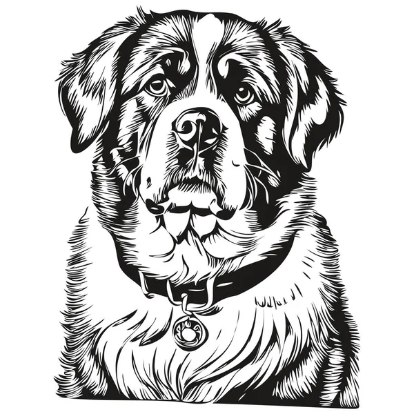聖バーナード犬の品種の線画 クリップアート動物の手の描画ベクトル黒と白 — ストックベクタ