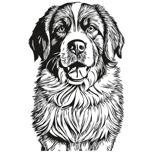 聖バーナード犬の漫画の顔インクの肖像画 黒と白のスケッチの描画 Tシャツプリント現実的な品種のペット — ストックベクタ