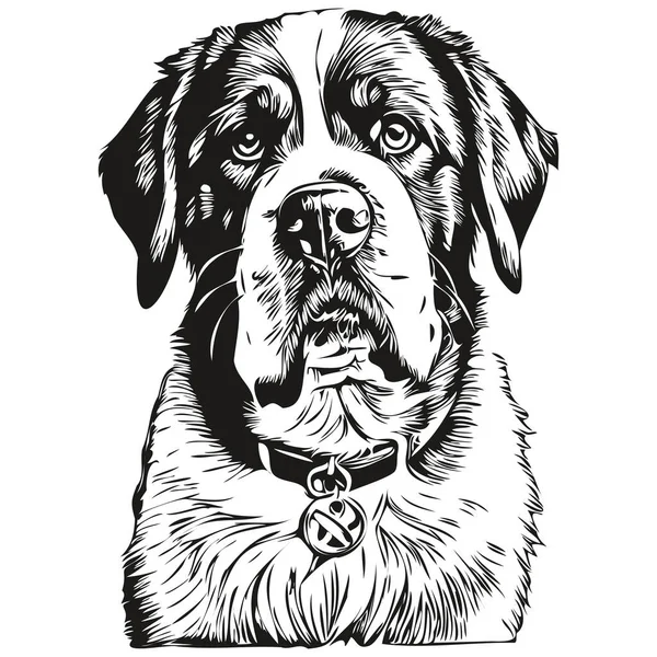 Saint Bernard Dog Face Vector Portrait Funny Outline Pet Illustration — Stock Vector