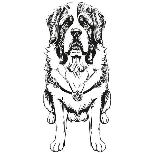 Desenho Esboço Tinta Cachorro Saint Bernard Tatuagem Vintage Shirt Print —  Vetores de Stock