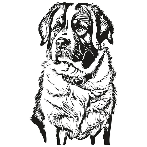 Saint Bernard Cão Mão Logotipo Desenhado Desenho Preto Branco Linha — Vetor de Stock