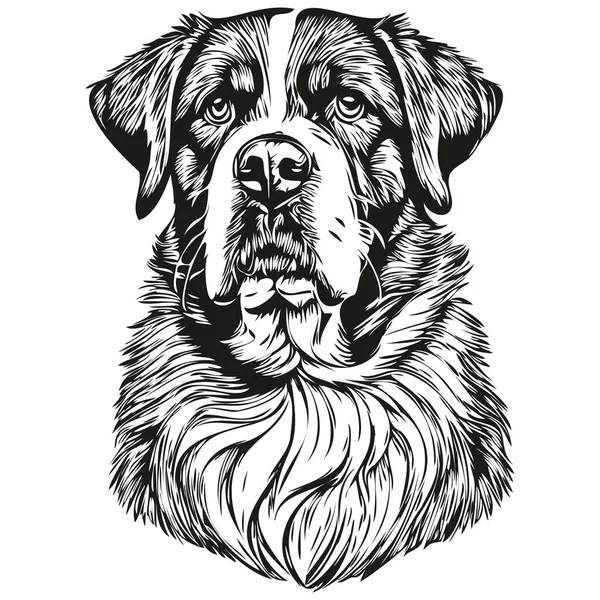 Saint Bernard Dog Logo Vector Black White Vintage Cute Dog — Stock Vector