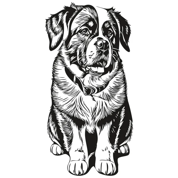 Saint Bernard Cão Esboço Lápis Desenho Arte Personagem Preto Fundo — Vetor de Stock