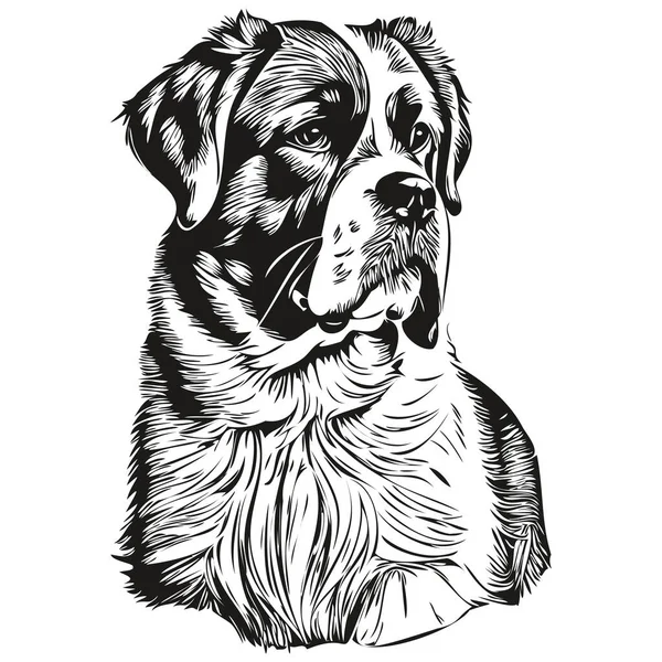 聖ベルナール犬鉛筆手描きベクトル アウトラインイラストペットの顔のロゴ黒と白 — ストックベクタ