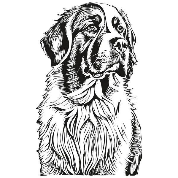 Ilustrasi Realistik Anjing Bernard Gambar Tangan Wajah Vektor Hitam Dan - Stok Vektor
