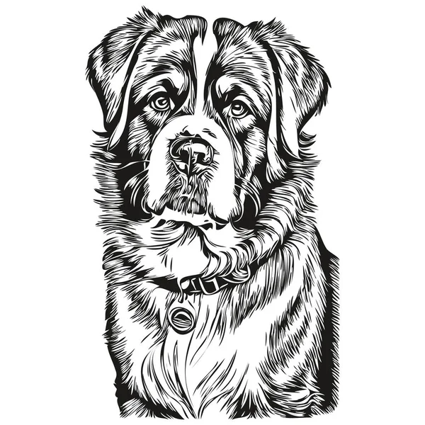 聖バーナード犬ベクトルグラフィック 手描き鉛筆動物ラインイラスト — ストックベクタ