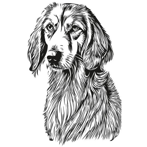 サルキ犬黒描画ベクトル 孤立した顔の絵線のイラスト — ストックベクタ