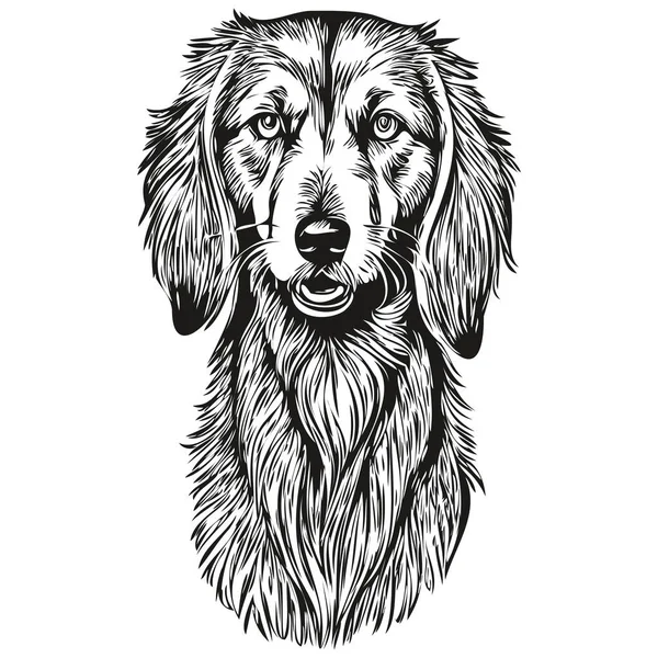 Гравированный Векторный Портрет Салукийской Собаки Лицо Рисунок Черно Белом Цвете — стоковый вектор