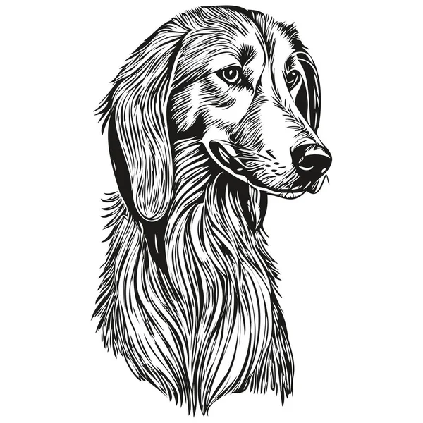 Saluki Pies Głowa Linii Rysunek Wektor Ręcznie Rysowane Ilustracja Przezroczystym — Wektor stockowy