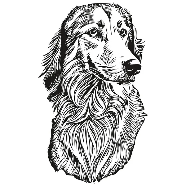 Saluki Hond Lijn Illustratie Zwart Wit Inkt Schets Gezicht Portret — Stockvector