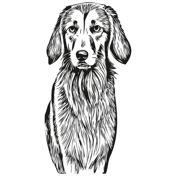 Логотип Собаки Салюкі Вектор Чорно Білий Вінтажна Мила Голова Собаки — стоковий вектор