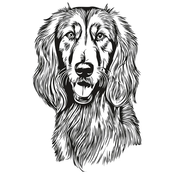 Saluki Dog Outline Pencil Drawing Artwork Black Character White Background — Stock Vector