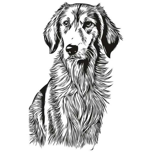 Saluki Dog Vector Face Drawing Portrait Sketch Vintage Style Transparent — Stock Vector