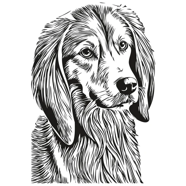 Saluki狗的人物形象 剪贴画的艺术载体宠物画黑白 — 图库矢量图片