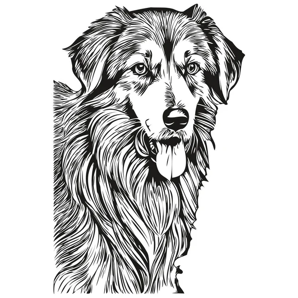 Saluki狗狗T恤印着黑白照片 可爱有趣的轮廓画矢量 — 图库矢量图片