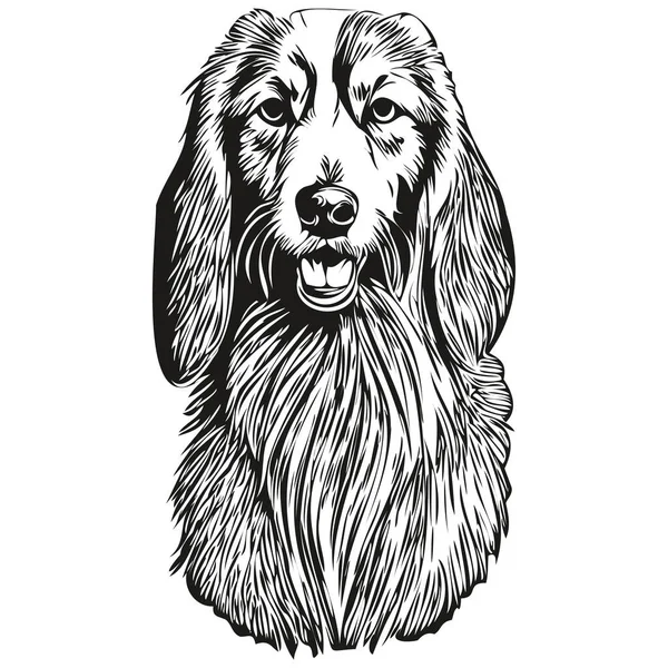 Saluki Cão Vetor Gráficos Desenhado Mão Lápis Animal Linha Ilustração —  Vetores de Stock