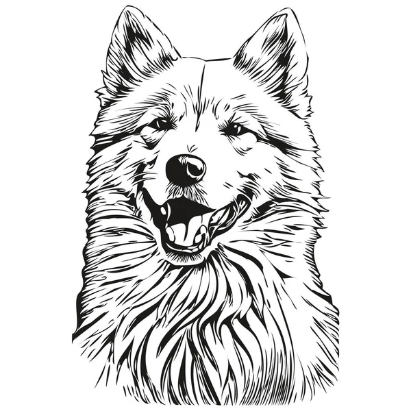 Samojad Hund Svart Teckning Vektor Isolerad Ansikte Målning Skiss Linje — Stock vektor