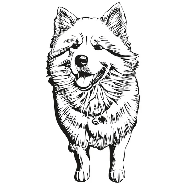 Samoyed Pes Plemeno Čára Kreslení Klip Art Zvíře Ruční Kreslení — Stockový vektor