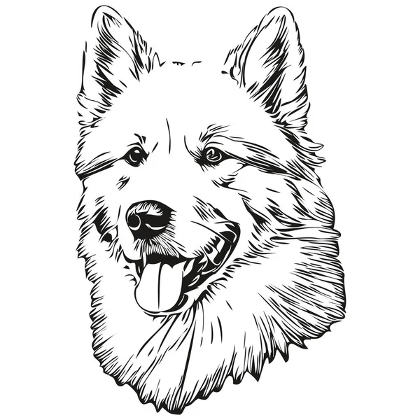 萨摩亚犬雕刻矢量画像 黑白逼真品种宠物面部卡通画 — 图库矢量图片