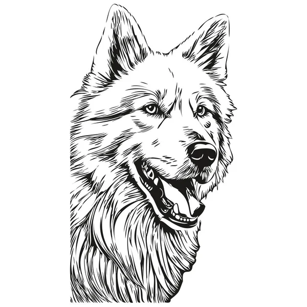 萨摩亚犬雕刻矢量肖像 脸谱卡通画黑白相间 — 图库矢量图片