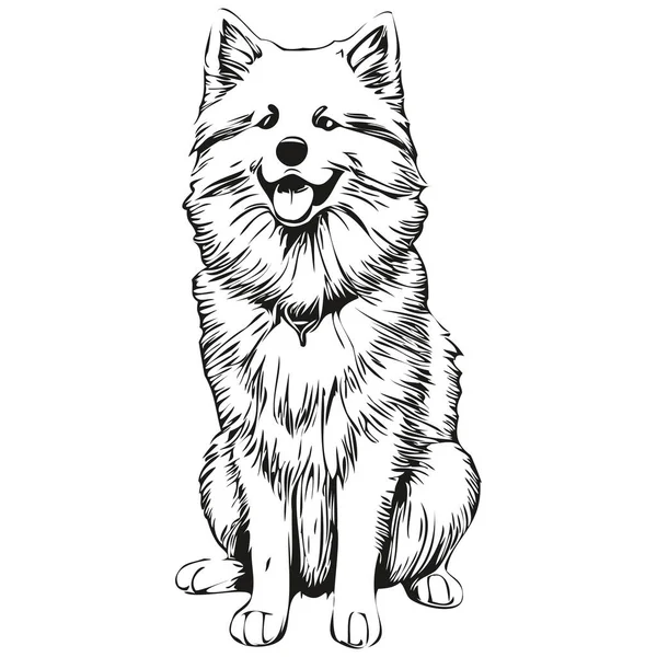 Samoyed Hund Ansikte Vektor Porträtt Rolig Kontur Husdjur Illustration Vit — Stock vektor