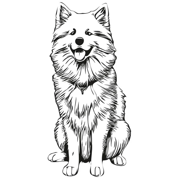 Samoyed Cão Rosto Vetor Retrato Engraçado Esboço Pet Ilustração Branco — Vetor de Stock