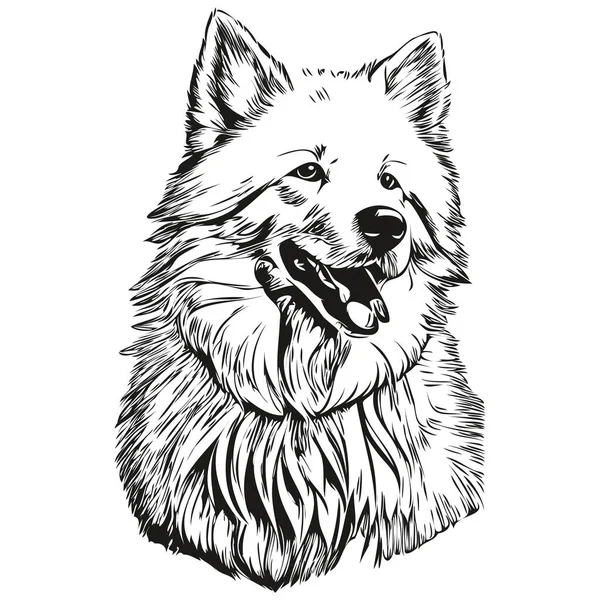 Samojed Hund Hand Dras Logotyp Ritning Svart Och Vit Linje — Stock vektor