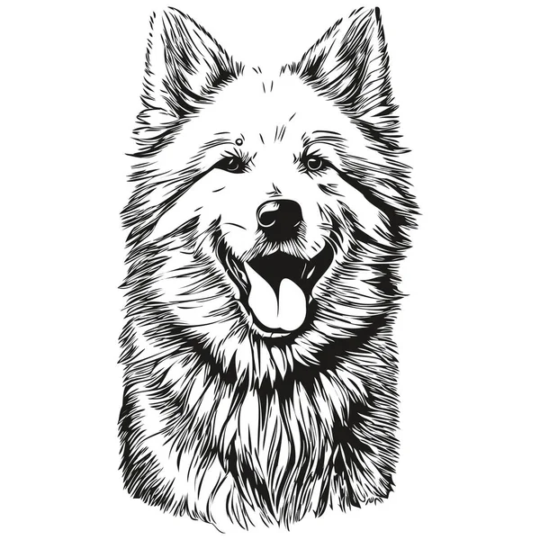 Samoyed Dog Head Line Drawing Vector Hand Drawn Illustration Transparent — Stock Vector