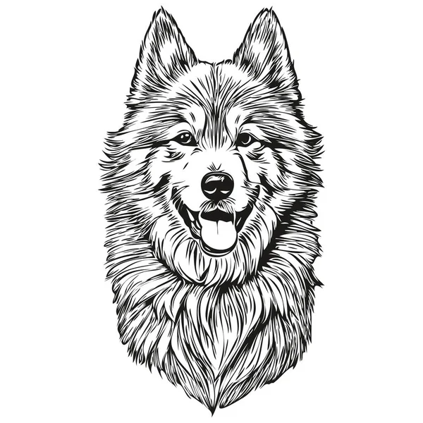 Samoyed Dog Head Line Drawing Vector Hand Drawn Illustration Transparent — Stock Vector