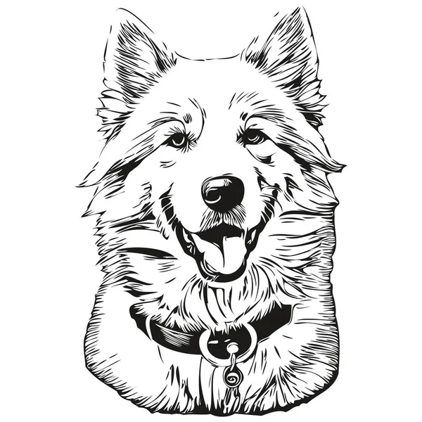 萨莫伊犬线条图解 黑白墨水素描人脸肖像在病媒逼真品种宠物狗中 — 图库矢量图片