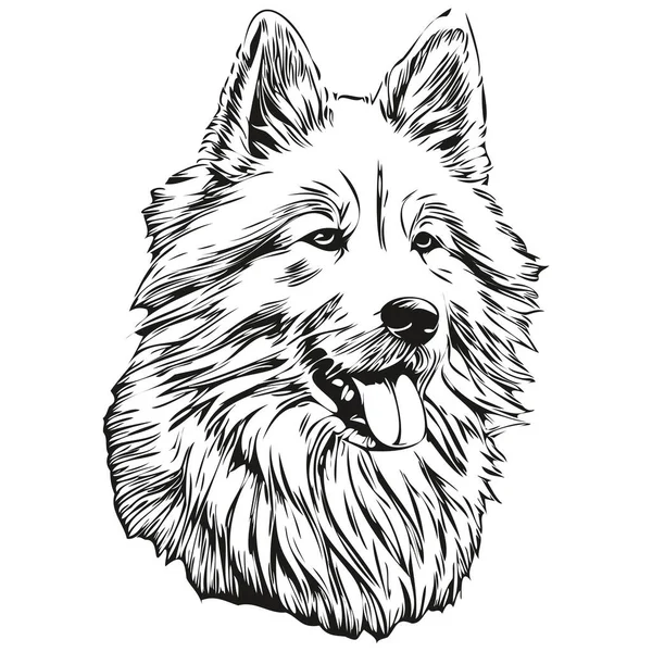 Samoyed Dog Line Illustration Black White Ink Sketch Face Portrait — Stock Vector