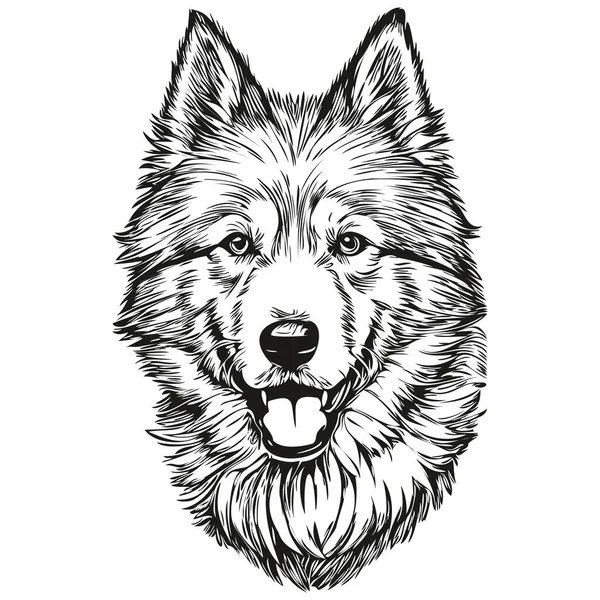 萨莫伊犬标志载体黑白相间 老旧可爱的狗头雕刻逼真的品种宠物 — 图库矢量图片