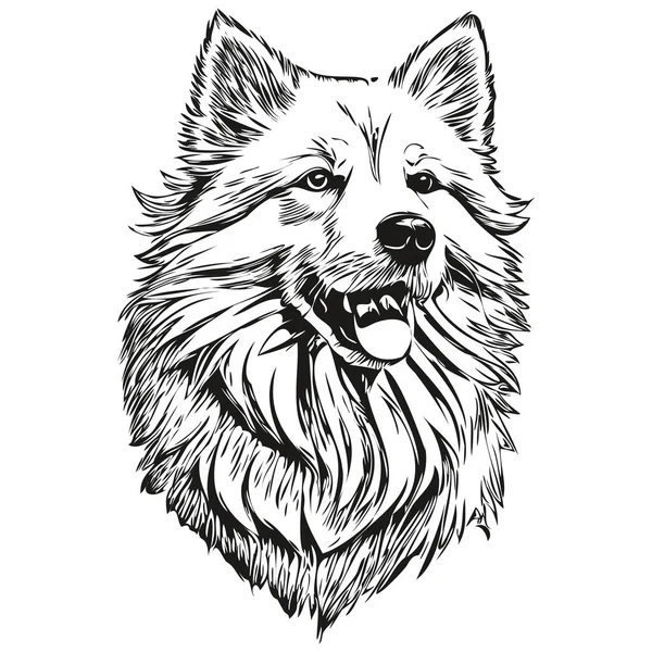 Samoyed Pies Logo Wektor Czarno Biały Vintage Ładny Pies Głowa — Wektor stockowy