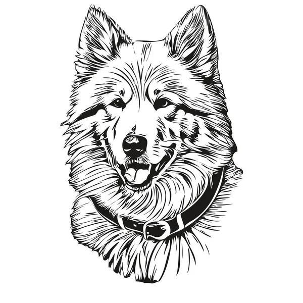 Samoyed Dog Outline Pencil Drawing Artwork Black Character White Background — Stock Vector