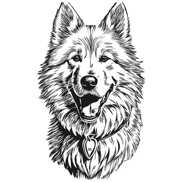 Samoyed Pies Zwierzę Sylwetka Zwierzę Linia Ilustracja Ręcznie Rysowane Czarno — Wektor stockowy