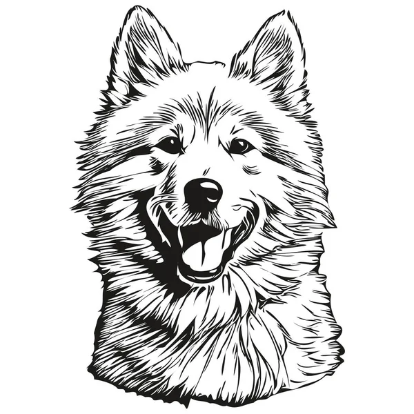 萨摩亚宠物狗素描图解 黑白雕版矢量逼真品种宠物狗 — 图库矢量图片