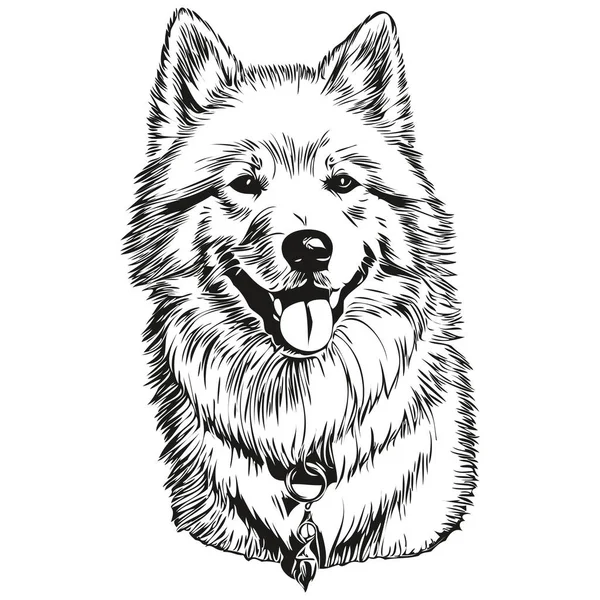 病媒中的萨摩亚狗肖像画 纹身或T恤衫印刷品中的动物手绘画 逼真品种宠物 — 图库矢量图片