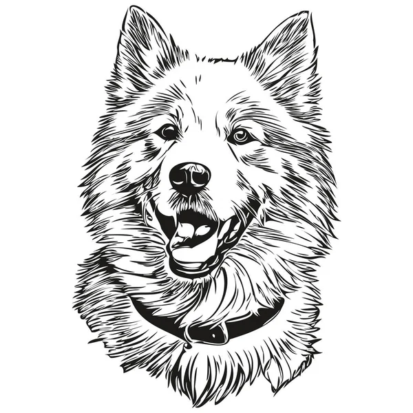 矢量中的萨摩亚狗肖像画 纹身或T恤衫图解中的动物手绘 — 图库矢量图片